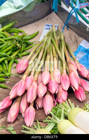 Banana Flower Blossom Bud per la vendita al mercato umido frutta e verdura in stallo nel sud-est asiatico Foto Stock