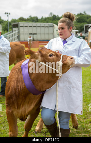 Una giovane donna le lotte per il controllo di un toro in mostra l'anello di uno spettacolo agricolo Foto Stock