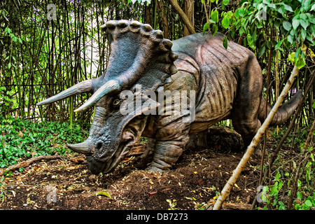 Triceratops (che significa "tre cornuto volto") dinosauro del tardo Cretaceo. Foto Stock