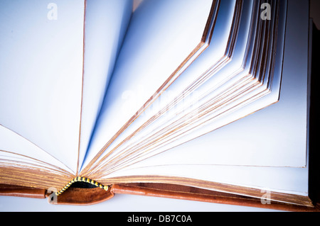 Libro aperto, pagine vuote Foto Stock
