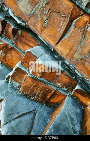 Rocce sedimentarie in scogliere costiere a Blegberry, sulla costa atlantica, vicino Hartland Point, Devon nord, Gran Bretagna. Foto Stock