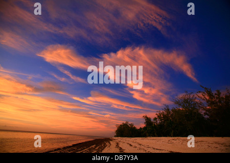 Paesi stranieri - Seychelles - Aldabra tramonto cielo blu, il bianco delle nuvole paradiso isola tropicale isola idillio tranquillità Foto Stock