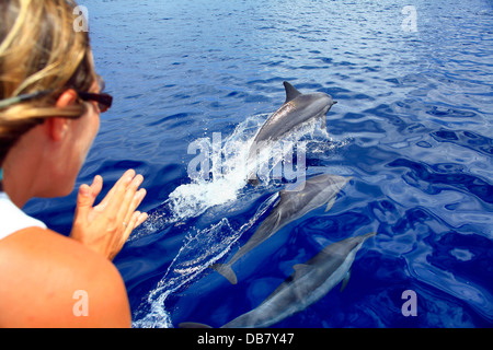 Tempo libero - Orologi Donna i delfini nuotare in onda di prua barca paesi stranieri - Seychelles - Aldabra scintillanti acque blu paradise Foto Stock