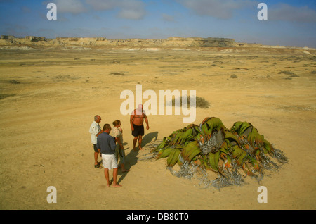 I Paesi africani - Angola condizioni desertiche Namib Desert i turisti a partire al ritorno in Angola turismo in Angola i turisti Foto Stock