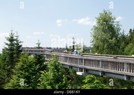 Il pontile, Maibrunn, Foresta Bavarese, Baviera, Germania Foto Stock