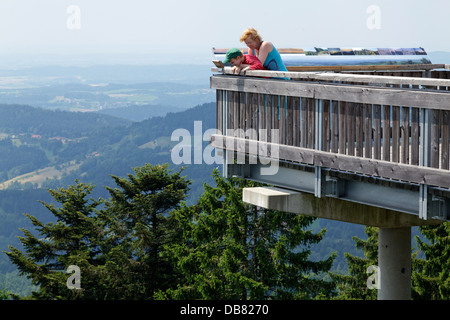 Il pontile, Maibrunn, Foresta Bavarese, Baviera, Germania Foto Stock