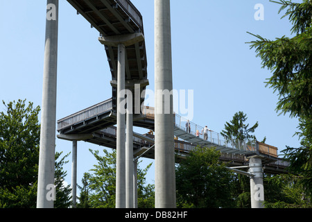 Il pontile, Maibrunn, Foresta Bavarese, Baviera, Germania Foto Stock