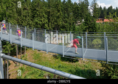 Ponte di sospensione, pontile, Maibrunn, Foresta Bavarese, Baviera, Germania Foto Stock