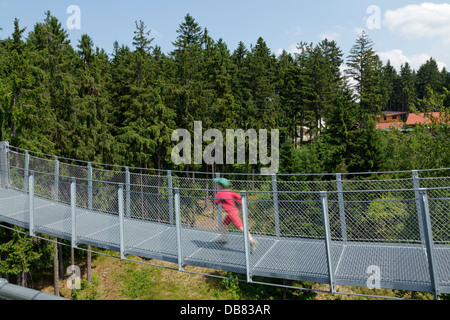 Ponte di sospensione, pontile, Maibrunn, Foresta Bavarese, Baviera, Germania Foto Stock