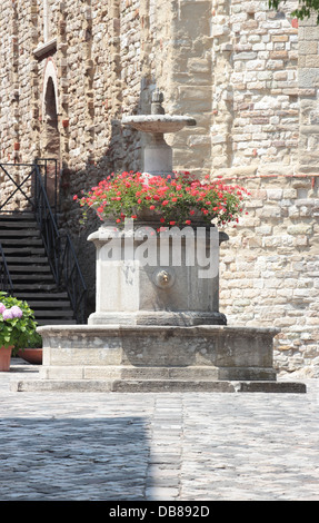 Fontana medievale nel centro storico di San Leo, Italia Foto Stock