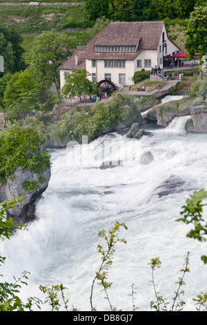 Vista delle Cascate del Reno da Laufen Castello Schloss Laufen, Svizzera Foto Stock