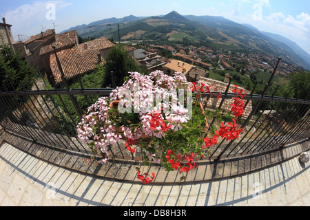 Fiori sul balcone in un fish-eye, Talamello, Italia Foto Stock