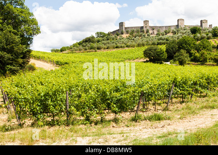 Monteriggioni, Regione Toscana, Italia. Vigneto di fronte le antiche mura medievali Foto Stock