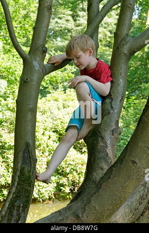 Giovane ragazzo in una struttura ad albero Foto Stock