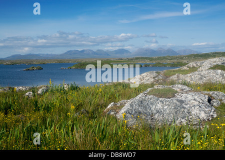 Connemara il Twelve Bens visto fron costa vicino a Roundstone County Galway Eire Repubblica di Irlanda Foto Stock