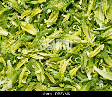 Close-up di insalata verde Foto Stock