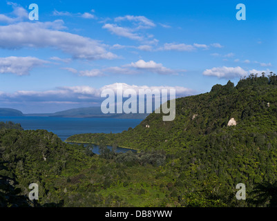 Dh lago Tarawera Rotorua Nuova Zelanda punto di vista lago e Monte Tarawera Foto Stock