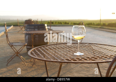 Venti-qualcosa di donna in una vigna al tramonto. Foto Stock