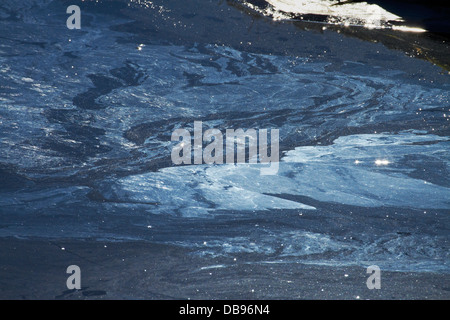 Acqua inquinata dalla fattoria runoff nel canale di drenaggio, Taieri pianure, vicino a Dunedin, Isola del Sud, Nuova Zelanda Foto Stock