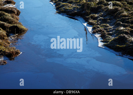 Acqua inquinata dalla fattoria runoff nel canale di drenaggio, Taieri pianure, vicino a Dunedin, Isola del Sud, Nuova Zelanda Foto Stock