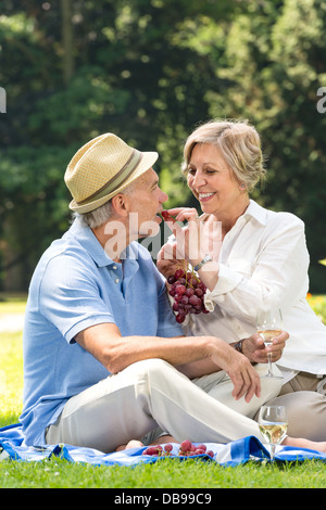 Felice giocoso pensionati avente picnic all'aperto Foto Stock