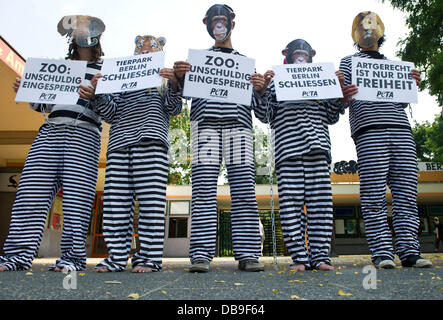 Berlino, Germania. 26 Luglio, 2013. Gli attivisti animale dell'organizzazione Peta esigere la chiusura di zoo Friedrichsfelde a Berlino, Germania, 26 luglio 2013. I diritti degli animali organizzazione Peta ha accresciuto la consapevolezza per il modo improprio gli animali sono tenuti presso lo zoo. Foto: OLE SPATA/dpa/Alamy Live News Foto Stock