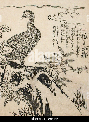 Questo dipinto cinese di un fagiano arroccato su un albero di prugna cattura la bellezza della natura attraverso una dettagliata pennellata. Fa parte della collezione LACMA, che illustra l'eleganza delle tecniche pittoriche cinesi. Foto Stock