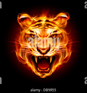 Testa di una tigre in lingue di fiamma. Illustrazione su nero Foto Stock
