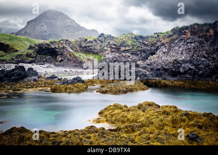 Islanda costa rocciosa del paesaggio con i massi di alghe verdi rocce e navigare a lungo immagine esposizione rendendo il mare liscio lattiginosa Foto Stock