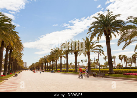 Palm promenade a Salou in Spagna Foto Stock