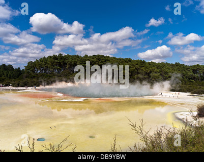 dh Wai o Tapu Thermal Wonderland WAIOTAPU NUOVA ZELANDA Geotermale Champagne Pool terme calde gialle zolfo paesaggio vapore sorgendo primavera rotorua Foto Stock