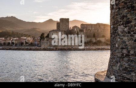 Chateau Royal, Collioure, Pyrénées-Orientales, Languedoc-Roussillon, Francia Foto Stock