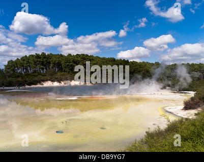 dh Wai o Tapu Thermal Wonderland WAIOTAPU NEW ZEALAND Steam Piscina geotermica di Champagne e colori gialli Artisti palette Sulphur rotorua piscine Foto Stock