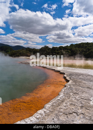 dh Wai o Tapu Thermal Wonderland WAIOTAPU NEW ZEALAND Champagne Piscina vapore acqua crosta di lava geotermica parco termale caldo zolfo paesaggio rotorua Foto Stock