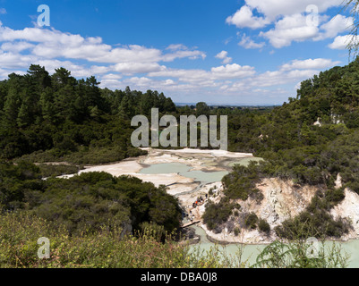 dh Wai o Tapu Thermal Wonderland WAIOTAPU FRITTURA NEOZELANDESE Vista piatta delle piscine geotermiche paesaggio piscina vulcanica zolfo Foto Stock