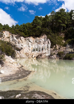 dh Wai o Tapu Thermal Wonderland WAIOTAPU NUOVA ZELANDA Geotermale paesaggio vacanza piscina sulfurea Foto Stock