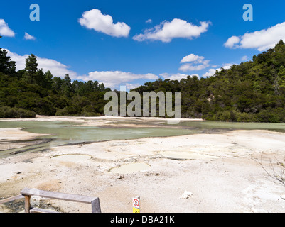 Dh Wai O Tapu Thermal Wonderland WAIOTAPU NUOVA ZELANDA paesaggio geotermica padella piatta Foto Stock