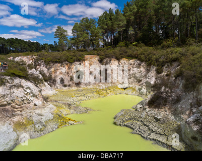 dh Wai o Tapu Thermal Wonderland WAIOTAPU NUOVA ZELANDA Green Sulphur Lake Devils Cave pool geotermici piscine parco rotorua nord isola solfora bagno Foto Stock