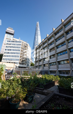 La shard edificio che domina melior street comunità giardino Londra Inghilterra REGNO UNITO Foto Stock