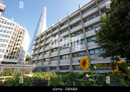 La shard edificio che domina melior street comunità giardino Londra Inghilterra REGNO UNITO Foto Stock