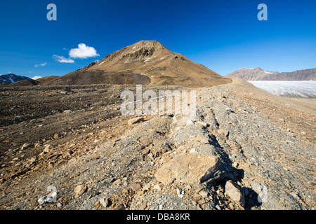 Un ghiacciaio a Recherchefjorden su Western Svalbard con morena che mostra la massiccia tasso di ritiro Foto Stock