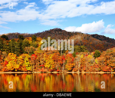 Montagne e Lago Chuzenji in Nikko, Giappone. Foto Stock