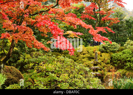 Giardino giapponese in Nikko, Giappone. Foto Stock