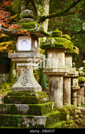 Nara, Giappone lanterne Foto Stock