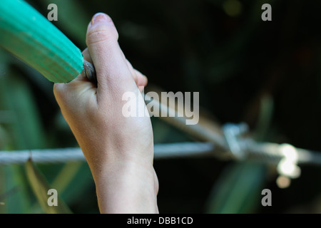 Mano che tiene su un filo di corda in forza piena Foto Stock