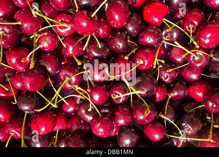 Le ciliegie sul mercato in stallo Foto Stock