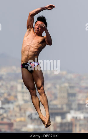 Barcellona, Spagna. 27 Luglio, 2013. in azione durante la mens 10m Platform Diving semifinale il giorno 8 del 2013 Campionati del Mondo di nuoto FINA, presso la Piscina Municipal de Montjuic. Credito: Azione Sport Plus/Alamy Live News Foto Stock