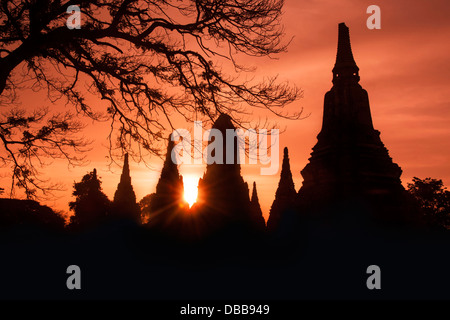 Silhouette Pagoda di Wat Chaiwattanaram, Ayutthaya, Tailandia; Foto Stock