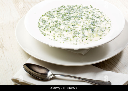 Zuppa fredda di latte e verdure ciotola Foto Stock