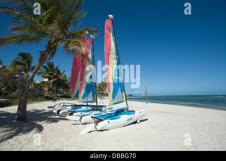 HOBIE CAT NOLEGGIO BARCHE A VELA SMATHERS BEACH Key West Florida USA Foto Stock